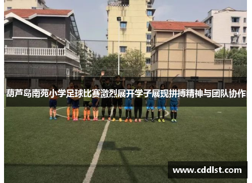 葫芦岛南苑小学足球比赛激烈展开学子展现拼搏精神与团队协作